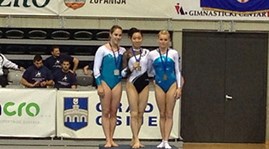Ha Thanh wins gold medal in Croatian competition